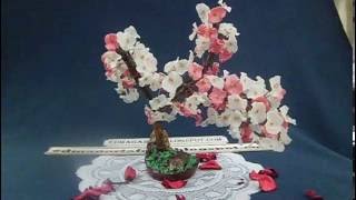 Cómo hacer bonsai con botellas de plástico (Sakura finalizado)