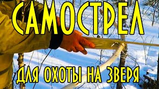 Эвенкийский самострел для охоты Evenki crossbow for hunting