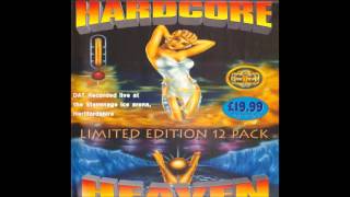 Vibes @ Hardcore Heaven - Stevenage Ice Arena (15th November 1996)