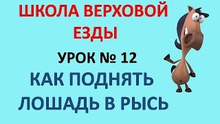 Как поднять лошадь в рысь