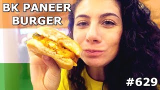 PANEER BURGER DELHI MALL FUN DAY 629 | TRAVEL VLOG IV