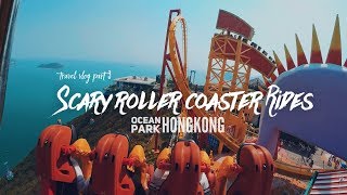 A DAY IN OCEAN PARK HONGKONG | THEME PARK | TRAVEL VLOG