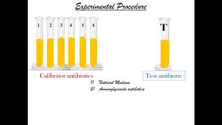 Luciferase assay for Determination of concentration of antibiotics. Pharmaceutical Microbiology.