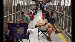 Voluntarios consuelan a perros asustados por la pirotecnia