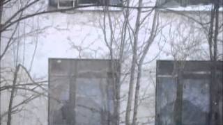 Минута добра. Детская группа "Завиток". Североморск