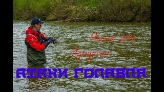 Атаки головля.  Рыбалка на малых реках Удмуртии