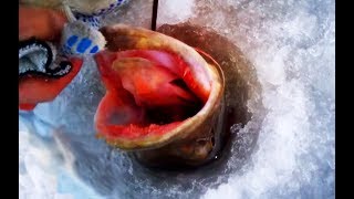 ЗИМНЯЯ РЫБАЛКА Казахстан Первый лед 2017 2018 разведка ЛУЧШАЯ ЖЕРЛИЦА Ловля щуки зимой льда жерлиц