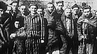 День освобождения узников фашистских концлагерей