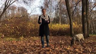 Совместимость: Близнецы + Дева