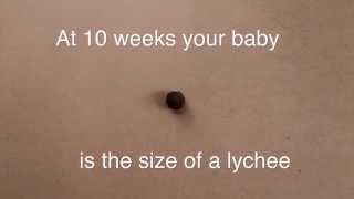 The hungry girl's guide to pregnancy