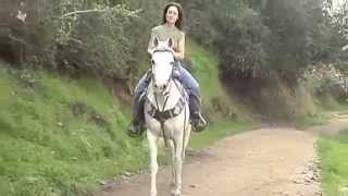 woman riding a horse