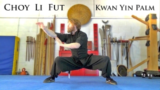 Learn Kung Fu | Choy Li Fut Kwan Yin Palm