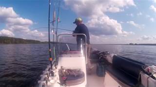 Иваньковское водохранилище в  августе  2018