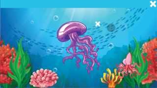 Факты о морских обитателях. Мобильное приложение от MikonsGame.