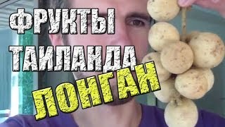 ФРУКТЫ ТАИЛАНДА: ЛОНГАН