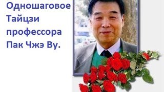 Профессор Пак Чжэ Ву. Одношаговое Тайцзи.
