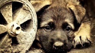 Достойные люди и их подвиги