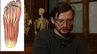 Станислав Дробышевский о стопах, кистях, биологически активных точках и ягодичных мышцах
