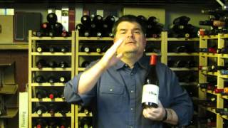 The Wine Review Video - Ep. 37: Casa Castillo 2013 El Molar