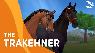 The Trakehner | Star Stable Teasers
