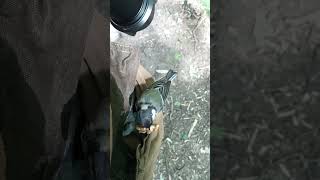 Синица научилась сама брать орешки из моего кармана / Titmouse learned to take nuts herself