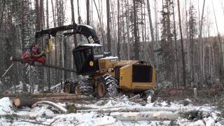 Cat 550 Колесный Харвестер
