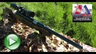 REVIEW: Air Arms Pro Sport Air Rifle - Elite Hunting Air Gun