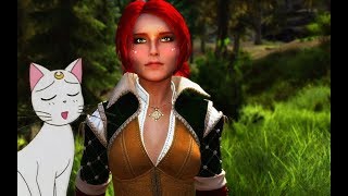 Skyrim mods: ЛУЧШИЕ МОДЫ ИЗ ИГРЫ ВЕДЬМАК