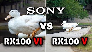 Sony RX100 VI (M6) vs RX100 V (M5) Side-by-Side Comparison! [4K]