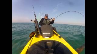 WOW FISHING TEAM - 5Kg GROUPER LIGHT JIGGING