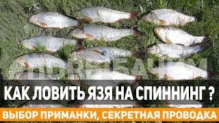 КАК ПОЙМАТЬ МНОГО ЯЗЯ? Ловим язя с лодки, выбираем приманки и проводки! | #порыбачим