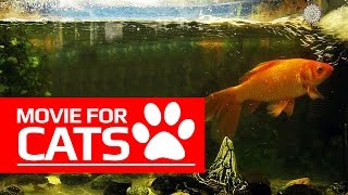 MOVIE FOR CATS - GOLDFISH (ENTERTAINMENT VIDEOS FOR CATS TO WATCH)