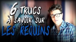 CHRIS : 6 Trucs à Savoir Sur les Requins
