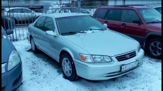 Выбираем б\у Toyota Camry V20 (бюджет 250-300тр) "Живее всех живых"