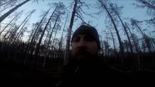 Глухариный ток, весна 2019!