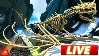 ARK OLDIE - Ein bisschen RAMBAZAMBA! LIVE ?