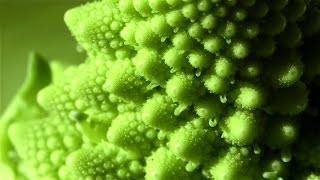 Chasing For Fractals 2K - (PSYCHEDELIC VIDEOS) - FRACTAL TRIP 3D