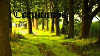 Cernunnos - Celtic Music