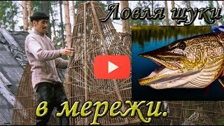 Щука в мережи! Fishing for pike.