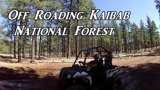 Off Roading in the Forest VanLifeOn the Road
