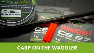 Carp On The Waggler