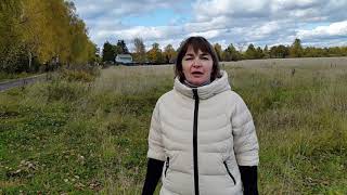 Как забирают нашу энергию негативные эмоции.