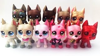Má sbírka Littlest Pet Shop dog #1