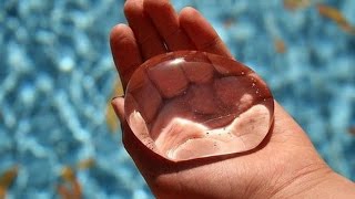 Эффект Марангони. Как повторить дома?