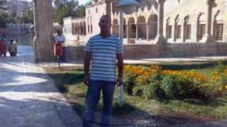 göklü gogan bekir yigit