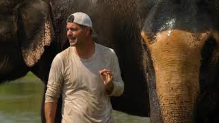 Mergulhando com elefantes no Nepal | Perdido na Ásia | Animal Planet Brasil