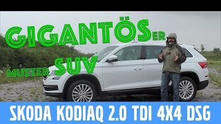 Skoda Koadiaq Style 2.0 TDI 4x4 DSG (190 PS) -  Test, Review und Fahrbericht / Testdrive