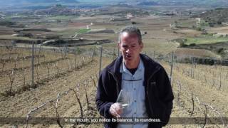 CATA SONSIERRA TEMPRANILLO BLANCO  2016