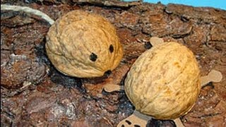 Идеи для поделок с детьми - поделки из грецких орехов