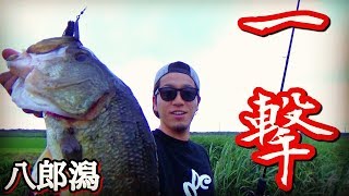 【バス釣り】八郎潟で尺が足りなすぎ…1ヶ所目で1投目で自己新記録！